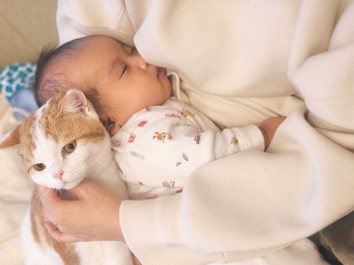 赤ちゃんを抱っこしていると 猫が見せた行動に キュンが止まらない 21年12月29日 エキサイトニュース