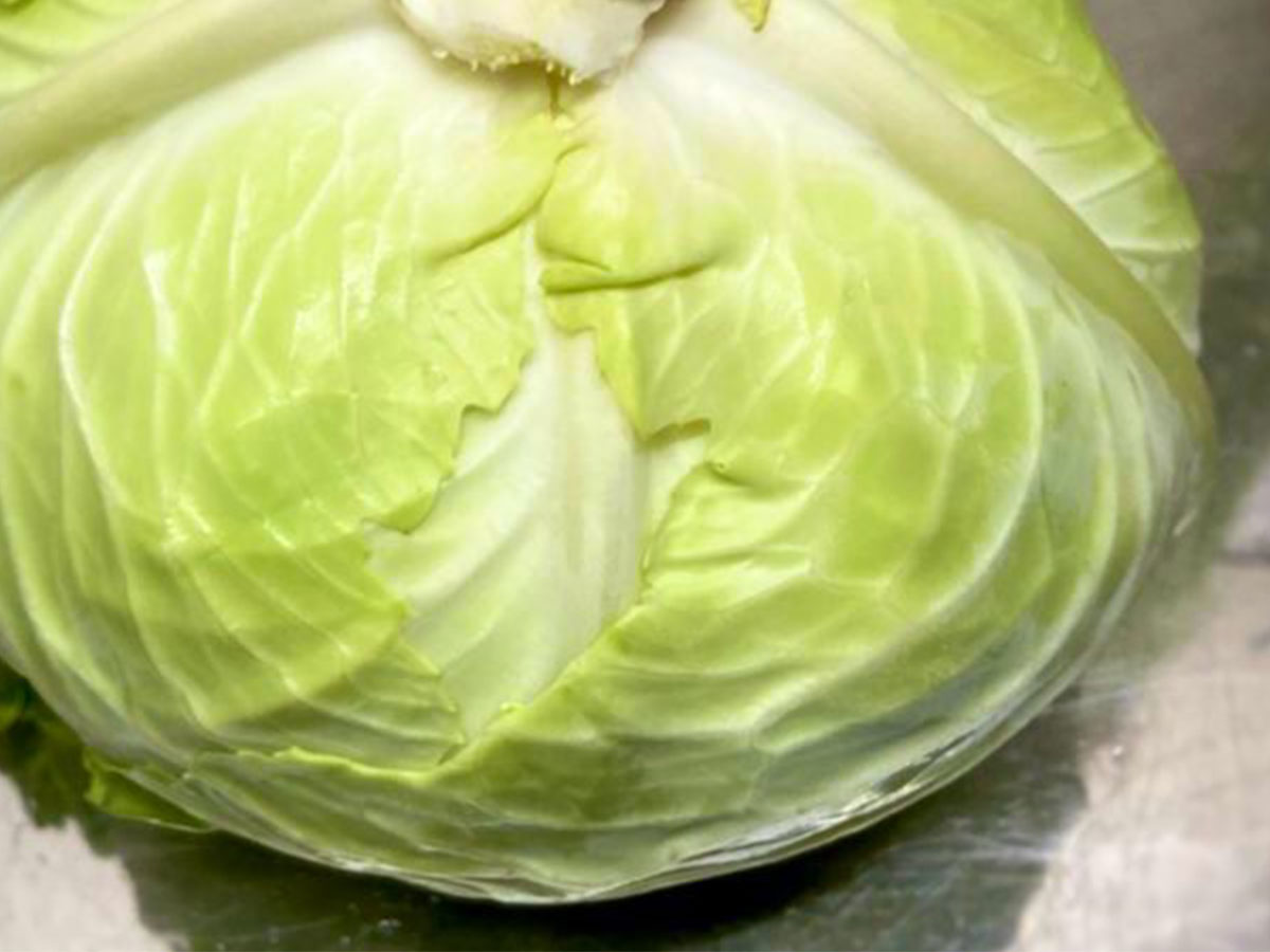 キャベツを日持ちさせる 裏ワザ って 料理人の投稿に 反響相次ぐ 年8月27日 エキサイトニュース