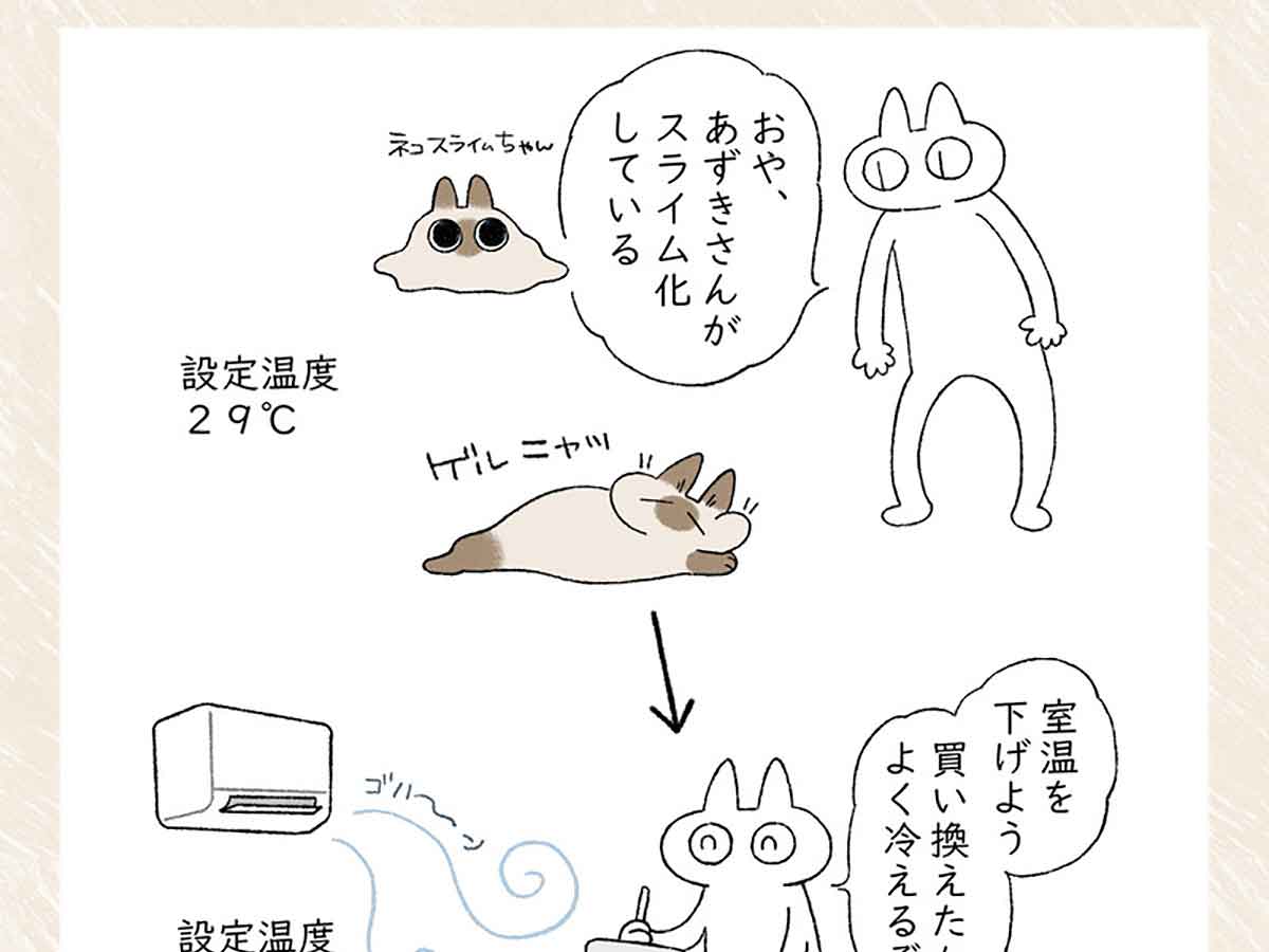 愛猫が暑くてスライム化 エアコンを買い替えたばかりだから と室温を1 下げた結果 年9月3日 エキサイトニュース 愛猫が暑くてスライム化 エアコンを買い替えたばかりだから と室温を1 下げた結果 年9月3日 エキサイトニュース