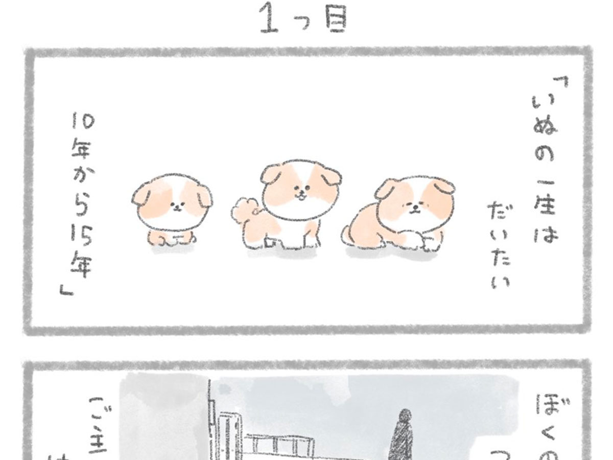 犬から大好きな飼い主へ 涙腺崩壊必須の漫画に反響が上がる 年9月27日 エキサイトニュース