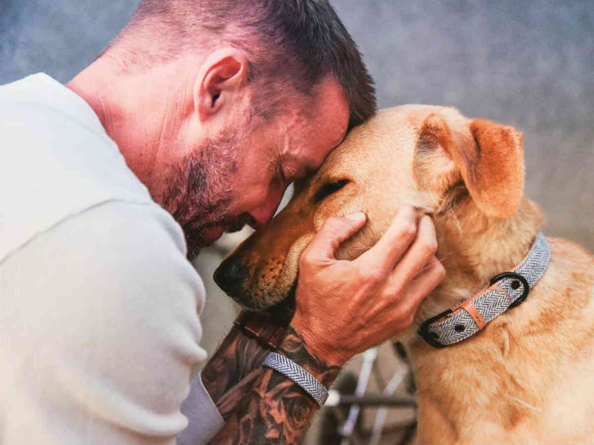 奇跡の実話 末期の肝臓病と診断された男性 犬と散歩を続けた半年後 年10月28日 エキサイトニュース