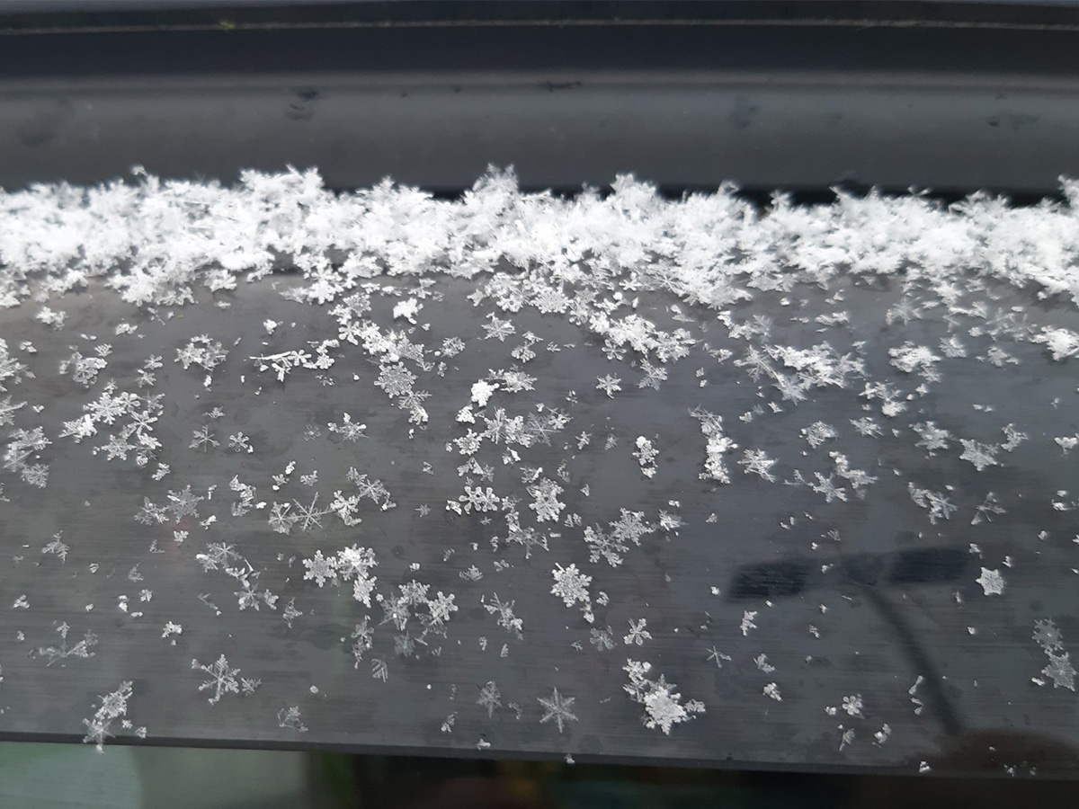 雪の結晶がそのまま降ってきた！ 「芸術作品みたい」「感動した」と 