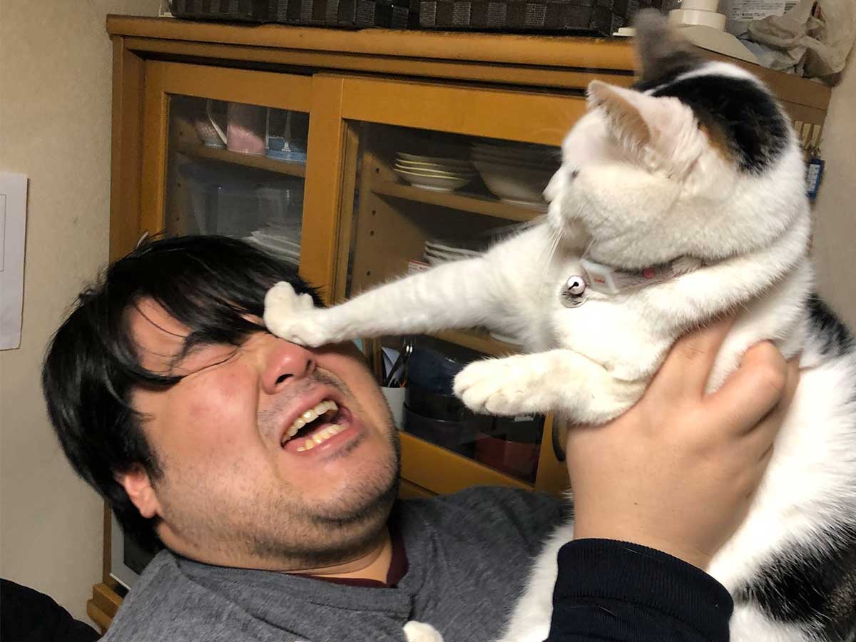 全4枚 男性とのツーショットで見せた 猫たちの表情 に 爆笑 2021年2月23日 エキサイトニュース