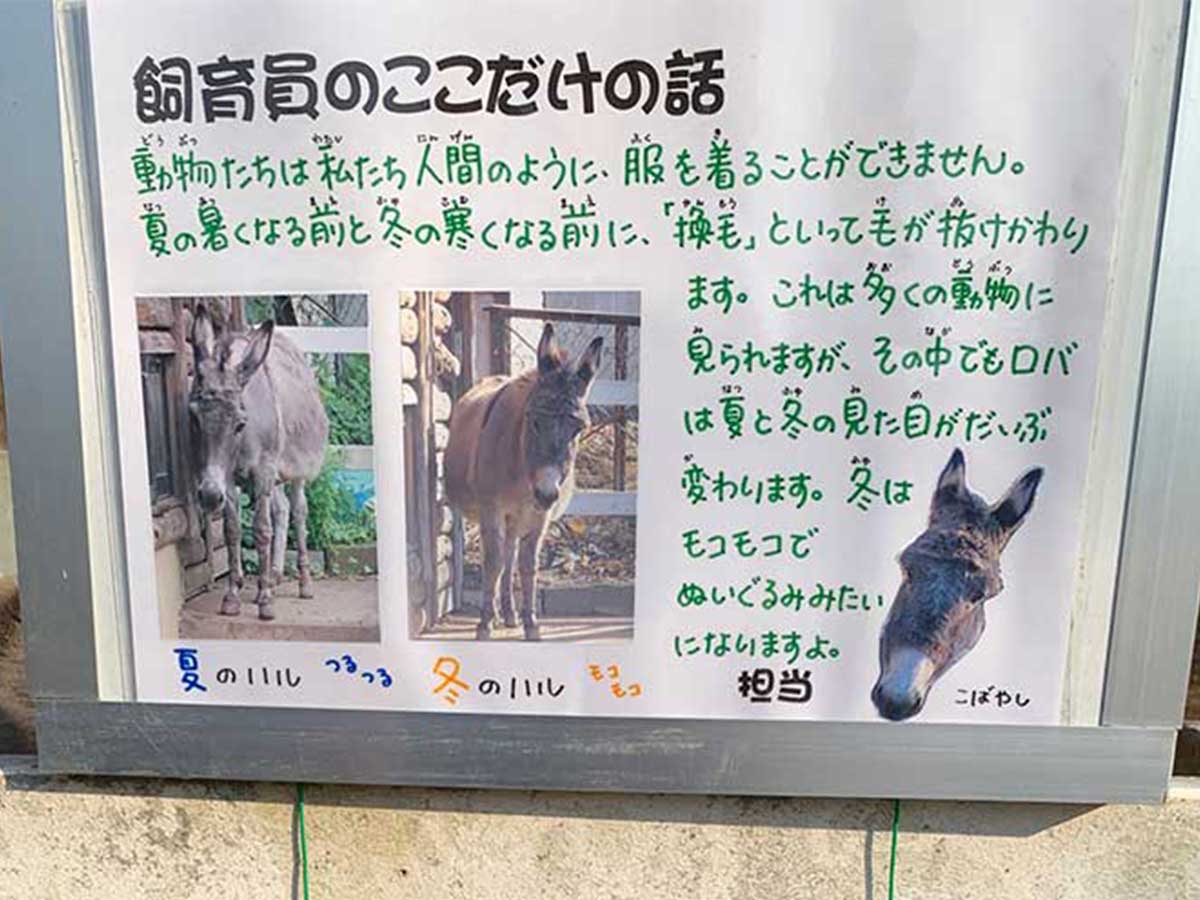 飼育員が書いた 貼り紙 ちょっとしたミスで子供たちが 21年2月28日 エキサイトニュース 飼育員が書いた 貼り紙 ちょっとしたミスで子供たちが 21年2月28日 エキサイトニュース