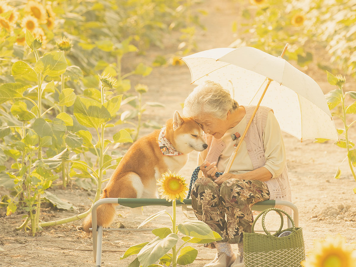 おばあちゃんに顔を寄せて幸せそうな柴犬 涙ぐんだ 優しい写真 と反響 21年6月1日 エキサイトニュース