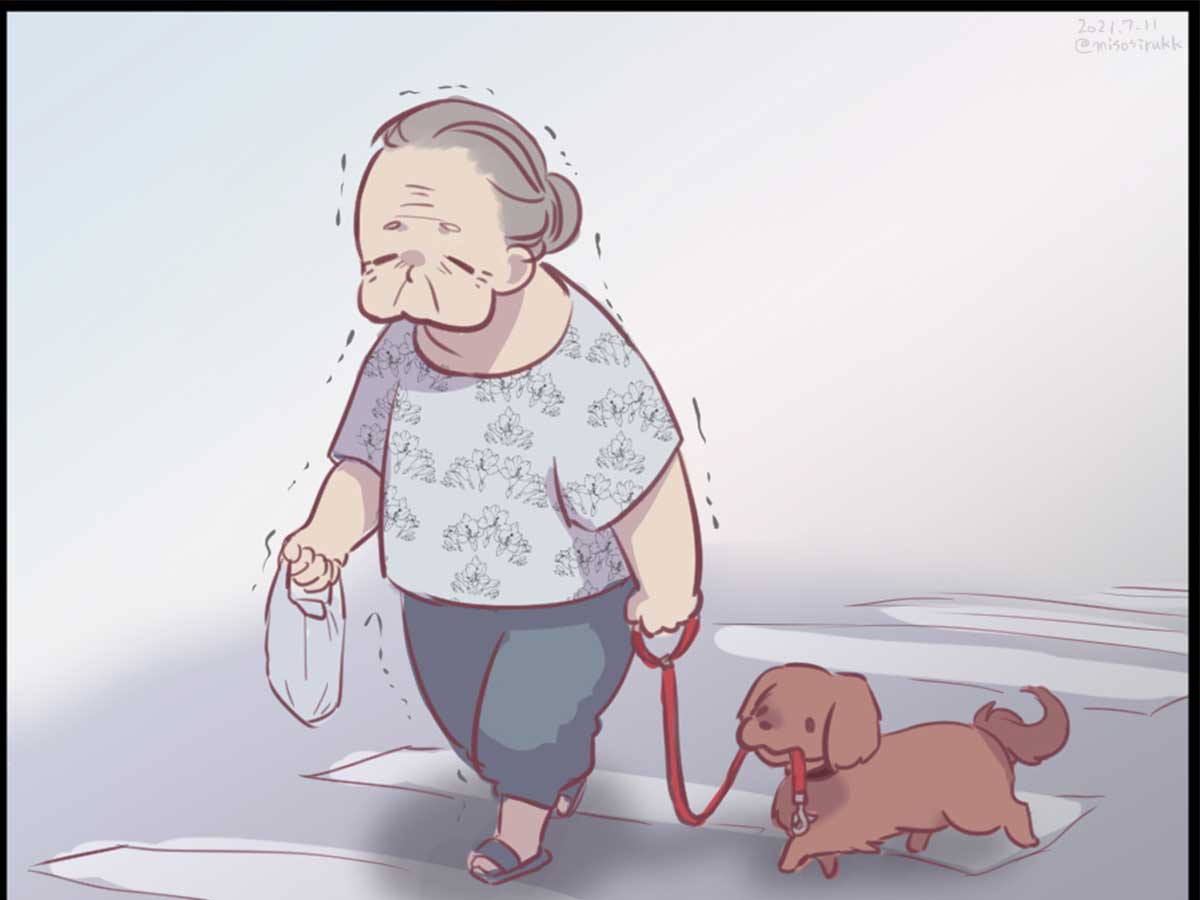 おばあさんと犬の散歩に５３万 いいね その理由は 21年7月12日 エキサイトニュース