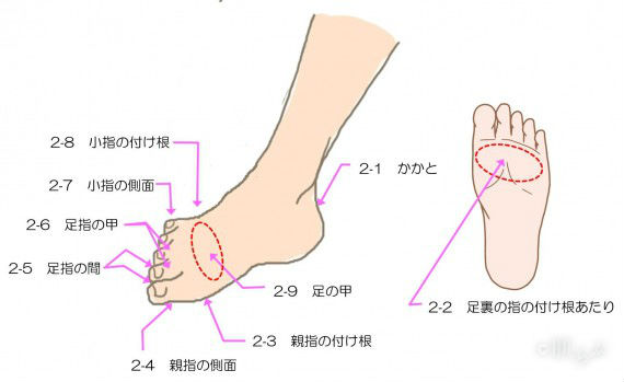 ペッカディロ 刈り取る くびれた サンダル 靴擦れ 足 の 甲 Kawakatsunaika Jp