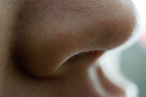 鼻がザラザラするのはなぜ 原因と対策を解説 ローリエプレス