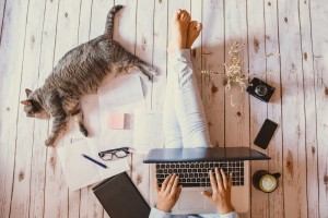 ちふれの口コミが気になる スキンケア 口紅を実際に試してみた ローリエプレス