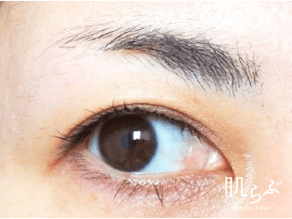 全色比較 エテュセの眉マスカラ使用感を体験レポート ローリエプレス