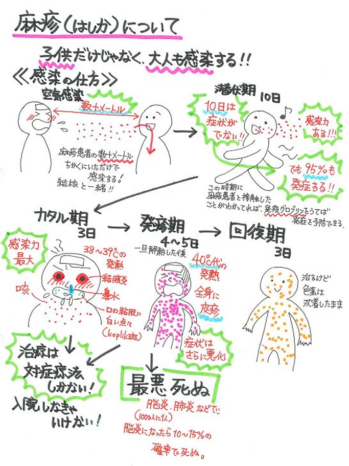 子供だけじゃない 大人も感染する 麻疹 はしか を予防する３つのポイント 16年9月6日 エキサイトニュース