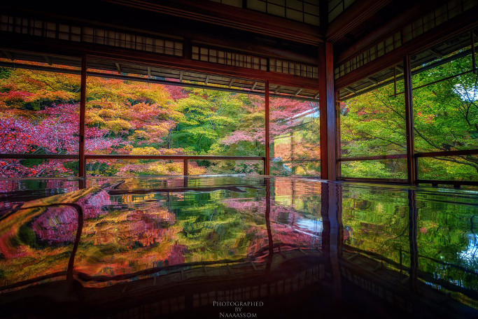 京都の紅葉の名所 瑠璃光院 の 床もみじ が圧巻の美しさ 16年12月1日 エキサイトニュース