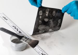 テレビドラマ 科捜研の女 Csi 科学捜査班 でもお馴染みの科学捜査とは 2015年12月14日 エキサイトニュース