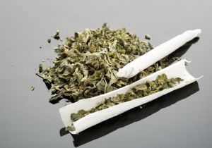 タバコよりも安全なマリファナ 大麻 は合法化すべき 健康被害は歯肉