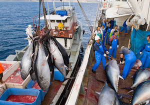 大気汚染は海のマグロも汚す 中国から飛来する水銀が日本の食卓を変える 17年2月7日 エキサイトニュース