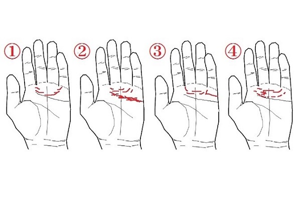 どんなタイプの恋になる エロ線でわかる手相４線 ローリエプレス