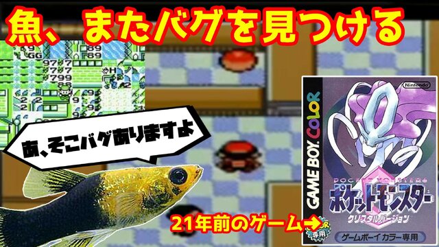 クレカ情報開示だけじゃない ポケモンをプレイする魚 が巻き起こしたミラクルの数々 23年1月22日 エキサイトニュース