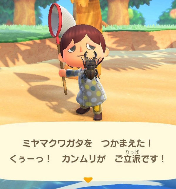 人間サイズの巨大アジ あつまれ どうぶつの森 で釣れるロウニンアジってどんな魚 平坂寛の あつ森 博物誌 年8月27日 エキサイトニュース 人間サイズの巨大アジ あつまれ どうぶつの森 で釣れるロウニンアジってどんな魚 平坂寛の あつ森 博物誌 年8月27日 エキサイトニュース