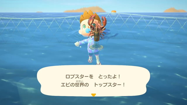 あつまれ どうぶつの森 今月で虫 魚はコンプリート可能 海の幸にも初登場ありな 12月の新生物一覧 をお届け 年12月2日 エキサイトニュース