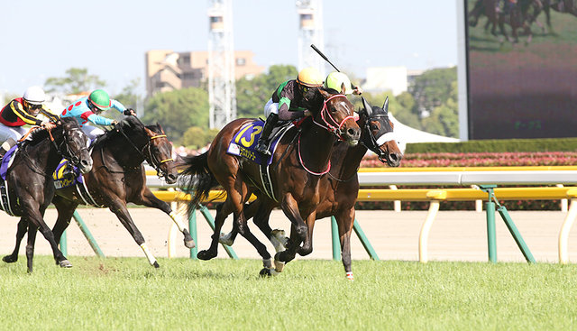 ウマ娘 応援ミッション開催中 樫の女王決定戦 オークス の歴史 エアグルーヴ など勝利ウマ娘を紹介 特集 21年5月23日 エキサイトニュース