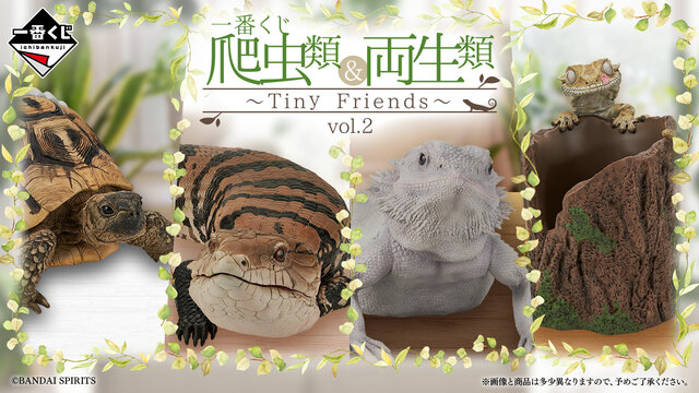 爬虫類一番くじ第2弾 B・C・G・F・H・I賞 リアルで可愛い「一番くじ 爬虫類＆両生類」第2弾の全ラインナップ公開