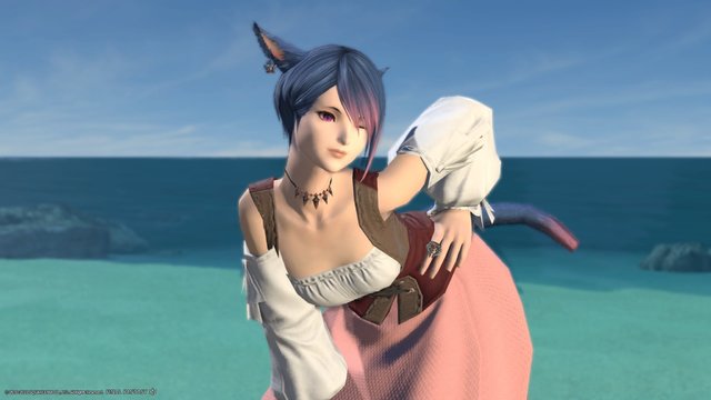 Ff14 最高にエモいスクショを撮りたい エモートテクニック4選 22年2月日 エキサイトニュース