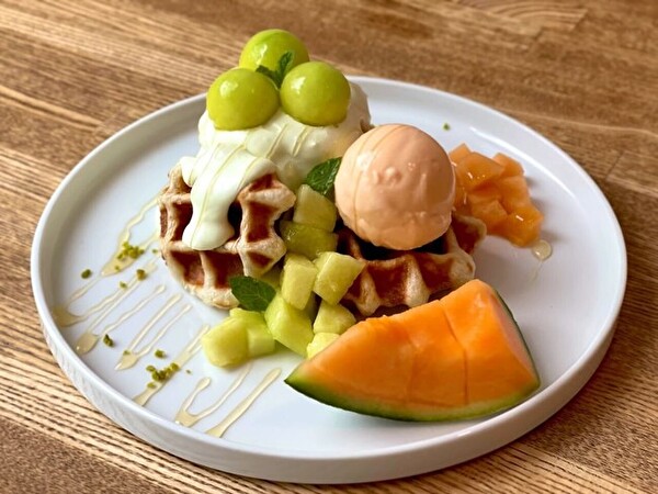 エスメロンのリーフレット