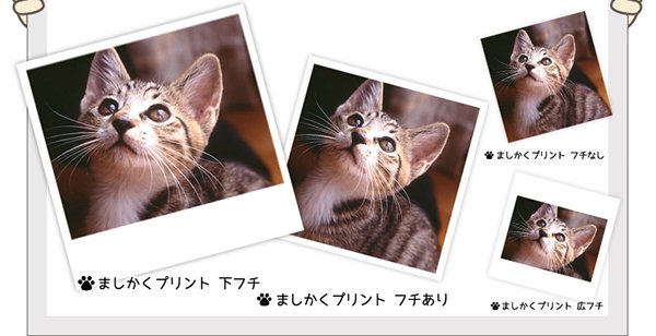 正方形の写真をプリントできるサービス4つ比較 (2015年7月10日) - エキサイトニュース