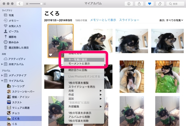 Iphoneやipadの 写真 アプリで アルバムの表紙に好きな写真を設定する方法 ローリエプレス