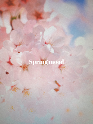 Snow の新スタンプはもう試した 話題の新元号 令和 スタンプや桜スタンプで春っぽく写真が盛れそう ローリエプレス