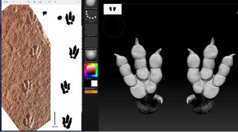 のび太 の名前を持つ恐竜の足跡化石 科博がレプリカを公開 21年7月8日 エキサイトニュース