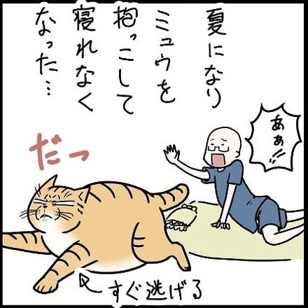 【猫漫画】暑さで一緒に寝てくれない猫ちゃんの“優しさ”とは……？ 猫飼いから「あるある」「尊い」の声 (2020年8月3日) - エキサイトニュース - エキサイトニュース