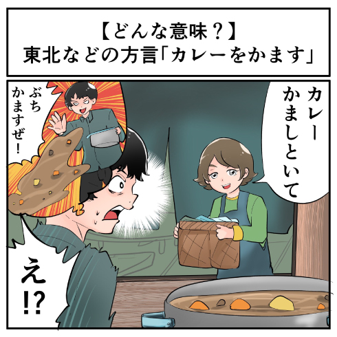 東北地方などの方言 カレーをかます ってどんな意味 マジで方言じゃないと思ってた言葉 21年10月日 エキサイトニュース