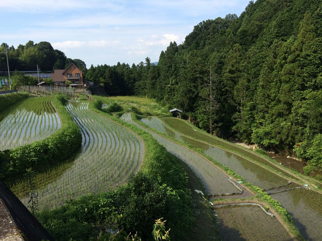 一度は行きたい 関西 感動絶景42選 観光やデートにおすすめ ローリエプレス