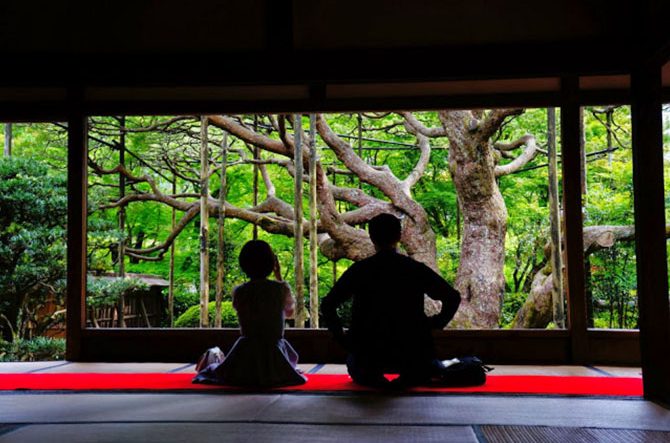 京都 雨の日デートにおすすめ 室内でも遊べるお出かけスポット15選 ローリエプレス