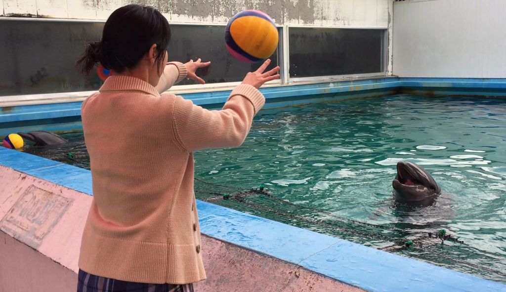 東海 雨の日デートにおすすめ 室内でも遊べるお出かけスポット19選 ローリエプレス