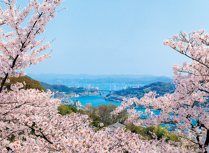 19 中国 四国 桜絶景 おすすめ23選 名所から穴場 開花時期 見頃 混雑情報も ローリエプレス