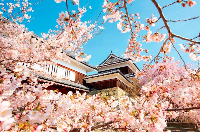 上田城千本桜まつり19 の楽しみ方 上田城跡公園の花見名所や見頃も 長野 ローリエプレス