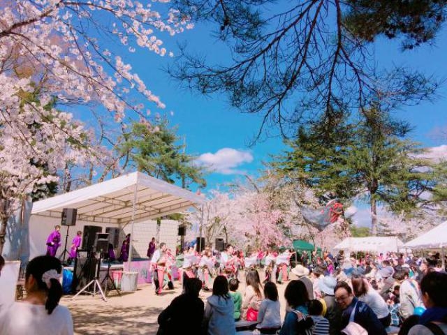 19 全国の桜まつり40選 お花見イベントや夜桜ライトアップなど ローリエプレス