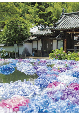 関西 絶景 あじさい名所9選 インスタ映えのあじさい寺や見頃情報も ローリエプレス