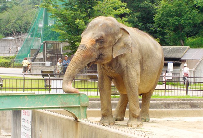 0円 格安 気軽に行ける 近場の遊び場10選 東海 16年9月3日 エキサイトニュース