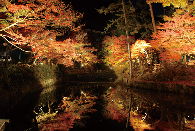 幻想的なライトアップも 瀬戸 岩屋堂公園 で紅葉ドライブ 愛知 16年11月10日 エキサイトニュース