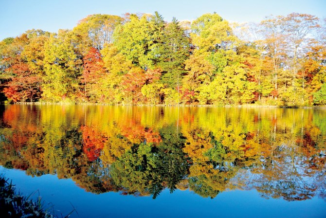 秋絶景を1 満喫 紅葉にコスモス 美しすぎる コラボ絶景10選 東日本 17年9月28日 エキサイトニュース 6 7