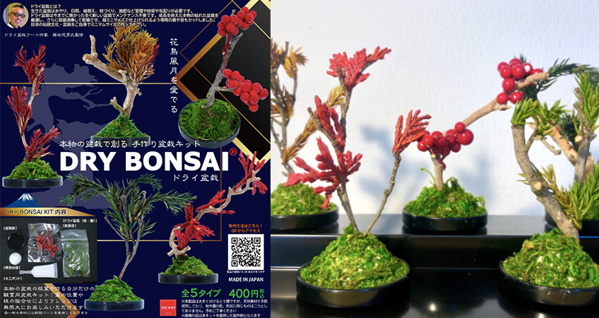 なんと盆栽がカプセルトイに 本物の木と葉を使ったミニマムサイズの盆栽キット ガチャ盆 19年8月6日 エキサイトニュース