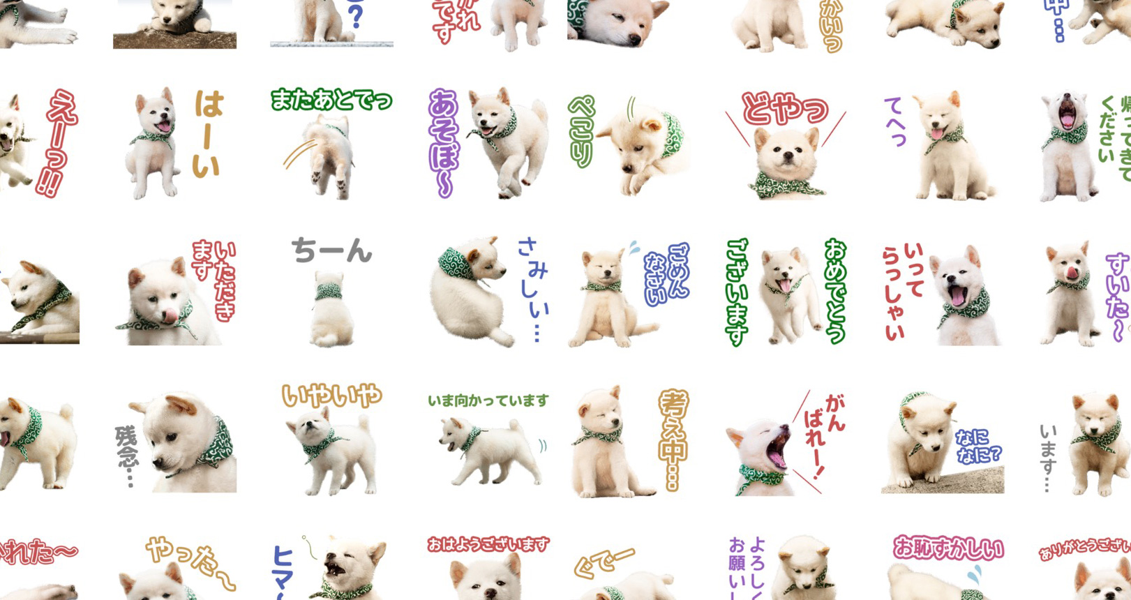 そんな瞳で見つめないで♡和風総本家の二十三代目・豆助がLINEスタンプ