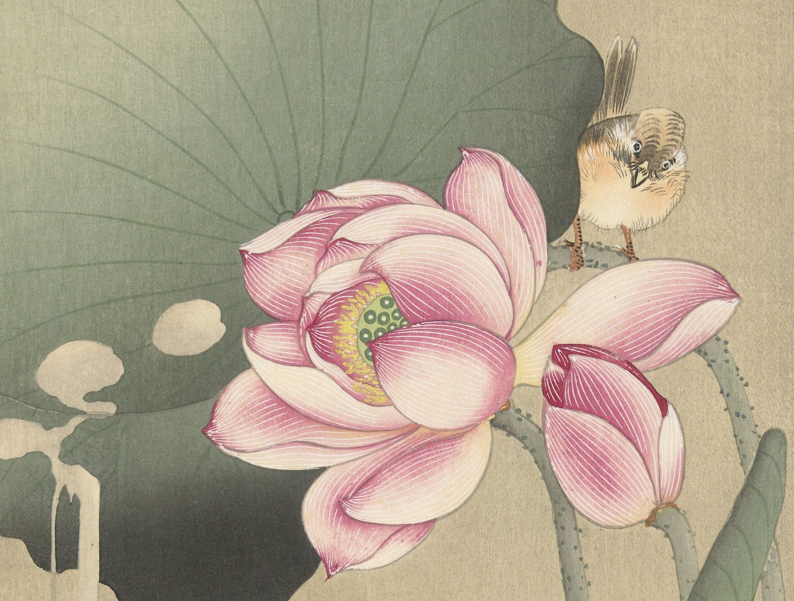 日本人が知らない、世界で一番有名な日本の新版画家「小原古邨」の定点