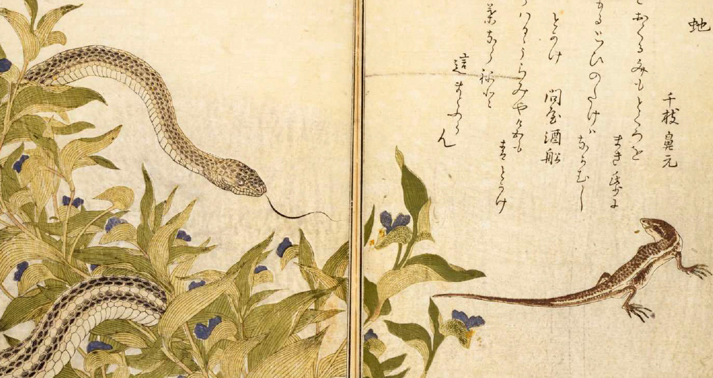 画本虫撰」はまさに昆虫図鑑！喜多川歌麿は昆虫を描かせてもスゴいん