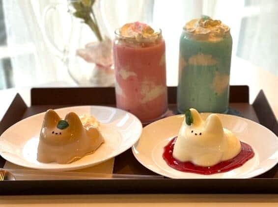 Z世代「食べるより揺らしたい」猫プリン 「食はエンタメ」、映えを動画