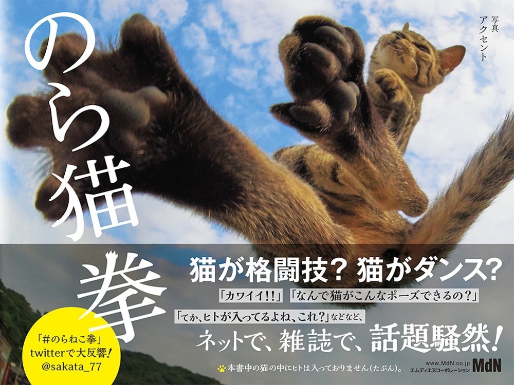 ネコが格闘技やダンスを 話題のネコ写真集 のら猫拳 が発売 17年1月28日 エキサイトニュース