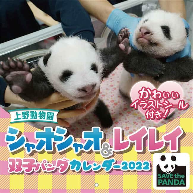 上野動物園の双子パンダをデザイン シャオシャオ レイレイのカレンダー 21年10月13日 エキサイトニュース
